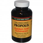 อาหารเสริม โพรพอลิส propolis ราคาส่ง ยี่ห้อ Y.S. Eco Bee Farms, Propolis, Golden Seal Echinacea, 60 Capsules